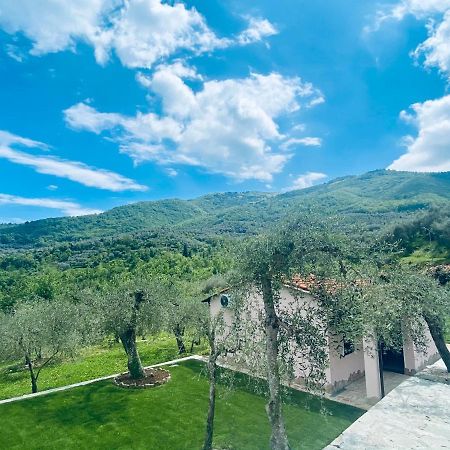 Casa Vacanze Gli Ulivi Borgomaro Exteriér fotografie