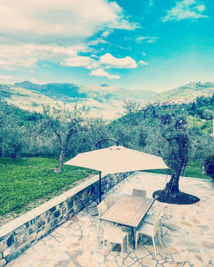 Casa Vacanze Gli Ulivi Borgomaro Exteriér fotografie