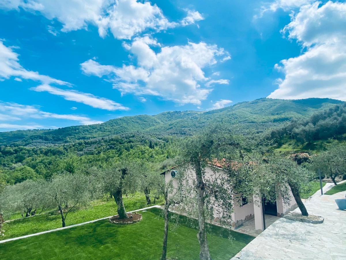Casa Vacanze Gli Ulivi Borgomaro Exteriér fotografie