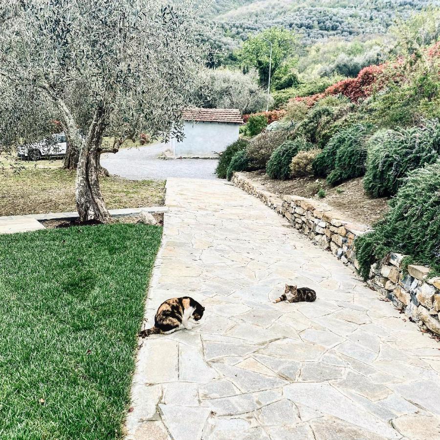Casa Vacanze Gli Ulivi Borgomaro Exteriér fotografie