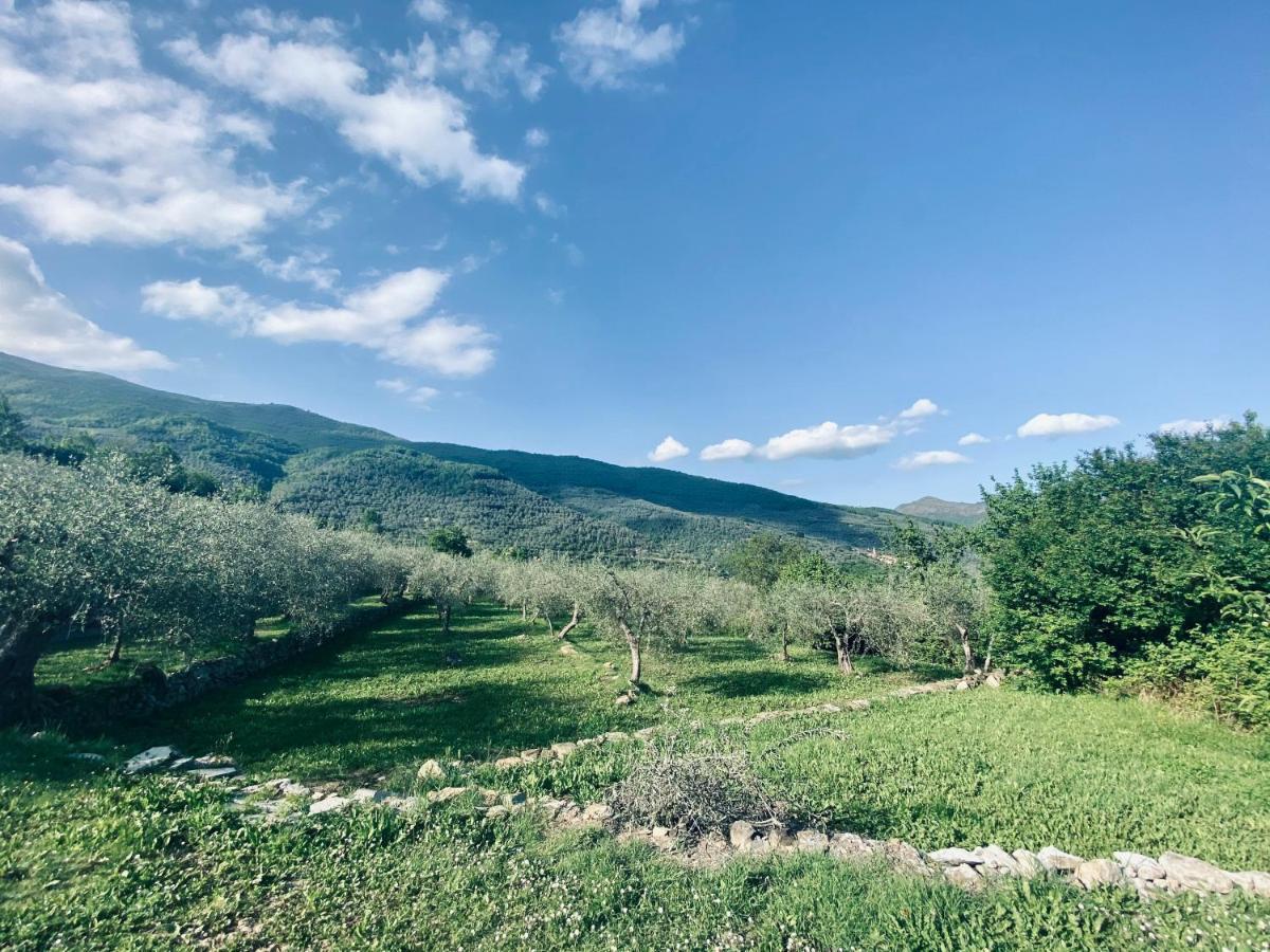 Casa Vacanze Gli Ulivi Borgomaro Exteriér fotografie