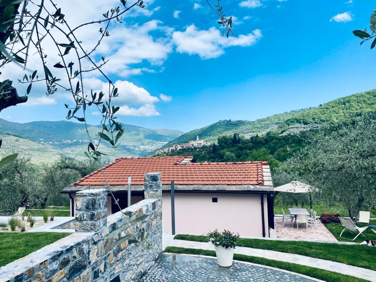 Casa Vacanze Gli Ulivi Borgomaro Exteriér fotografie